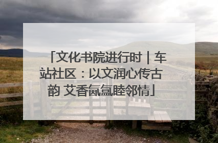 文化书院进行时｜车站社区：以文润心传古韵 艾香氤氲睦邻情