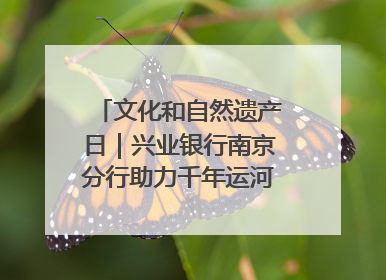 文化和自然遗产日｜兴业银行南京分行助力千年运河焕新出彩