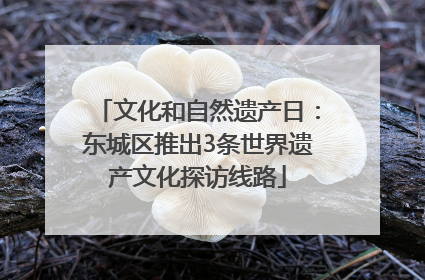 文化和自然遗产日：东城区推出3条世界遗产文化探访线路