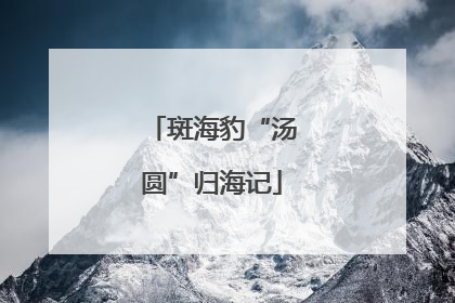 斑海豹“汤圆”归海记