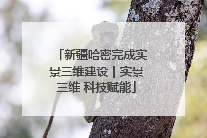 新疆哈密完成实景三维建设｜实景三维 科技赋能