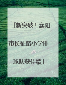 新突破！襄阳市长征路小学排球队获佳绩