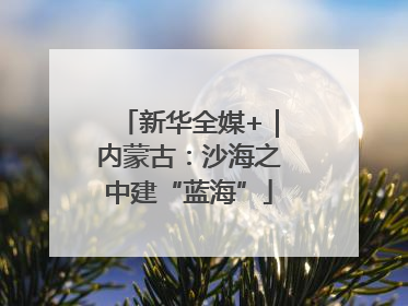 新华全媒+｜内蒙古：沙海之中建“蓝海”