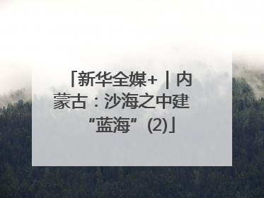 新华全媒+｜内蒙古：沙海之中建“蓝海”(2)