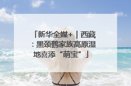 新华全媒+｜西藏：黑颈鹤家族高原湿地喜添“萌宝”