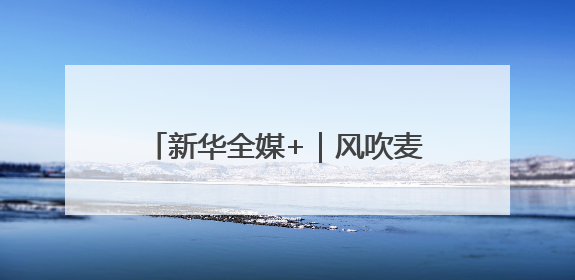 新华全媒+｜风吹麦浪好“丰”景——多地小麦机收一线见闻