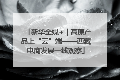新华全媒+｜高原产品上“云”端——西藏电商发展一线观察