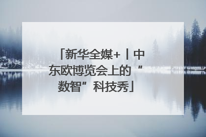 新华全媒+丨中东欧博览会上的“数智”科技秀