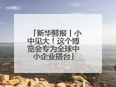 新华鲜报丨小中见大！这个博览会专为全球中小企业搭台