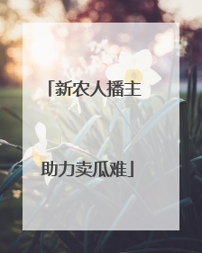 新农人播主 助力卖瓜难