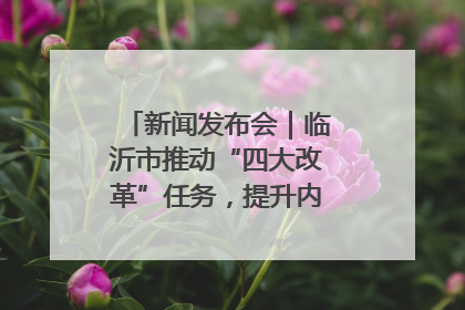 新闻发布会｜临沂市推动“四大改革”任务，提升内部审计监督效能