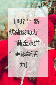 时评：新线建设助力“黄金水道”更添新活力