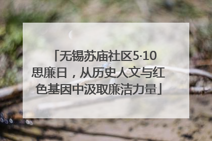 无锡苏庙社区5·10思廉日，从历史人文与红色基因中汲取廉洁力量