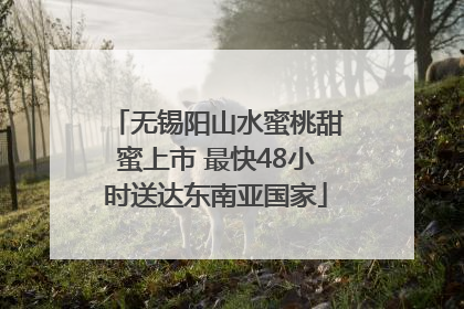 无锡阳山水蜜桃甜蜜上市 最快48小时送达东南亚国家