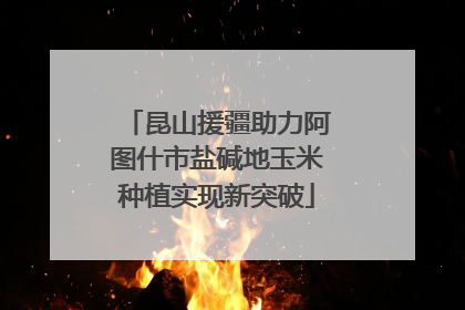 昆山援疆助力阿图什市盐碱地玉米种植实现新突破