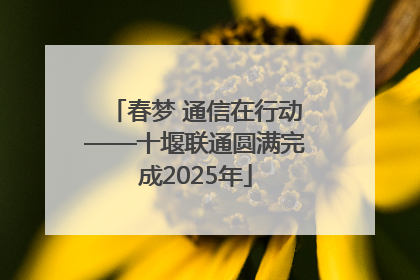 春梦 通信在行动——十堰联通圆满完成2025年
