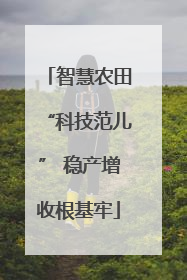 智慧农田“科技范儿” 稳产增收根基牢