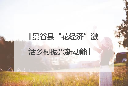 景谷县“花经济”激活乡村振兴新动能