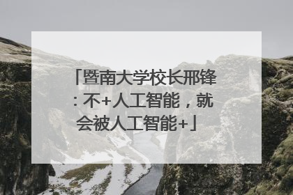 暨南大学校长邢锋：不+人工智能，就会被人工智能+