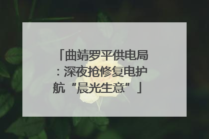 曲靖罗平供电局：深夜抢修复电护航“晨光生意”