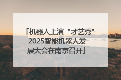机器人上演“才艺秀” 2025智能机器人发展大会在南京召开