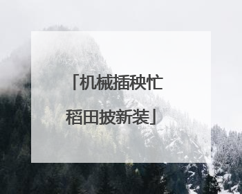 机械插秧忙 稻田披新装