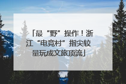 最“野”操作！浙江“电竞村”指尖较量玩成文旅顶流