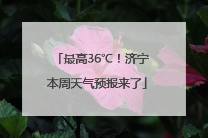 最高36℃！济宁本周天气预报来了