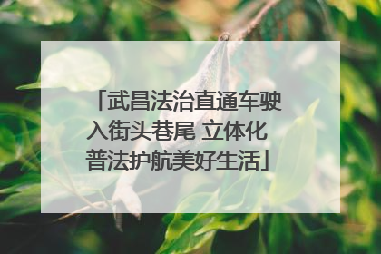 武昌法治直通车驶入街头巷尾 立体化普法护航美好生活