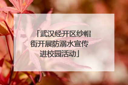 武汉经开区纱帽街开展防溺水宣传进校园活动