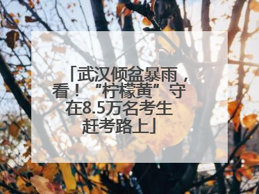 武汉倾盆暴雨，看！“柠檬黄”守在8.5万名考生赶考路上