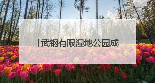 武钢有限湿地公园成为珍稀鸟类栖息地