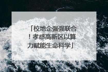 校地企强强联合！孝感高新区以算力赋能生命科学