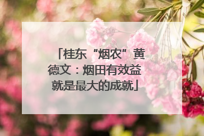 桂东“烟农”黄德文：烟田有效益就是最大的成就