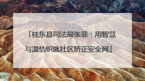 桂东县司法局张菲：用智慧与温情织就社区矫正安全网