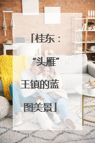 桂东：“头雁”王镇的蓝图美景