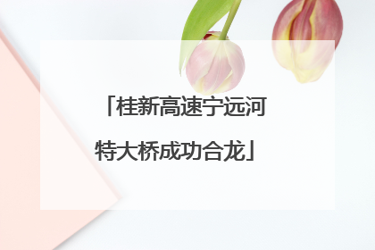 桂新高速宁远河特大桥成功合龙