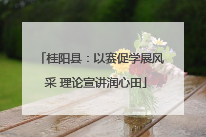 桂阳县：以赛促学展风采 理论宣讲润心田