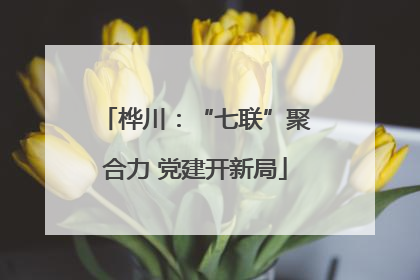 桦川：“七联”聚合力 党建开新局