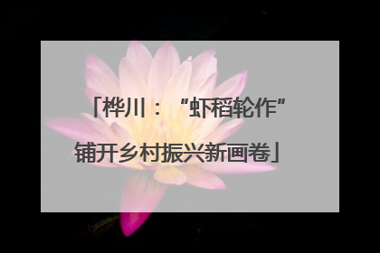 桦川：“虾稻轮作”铺开乡村振兴新画卷