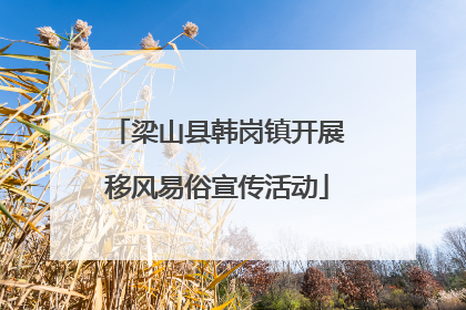 梁山县韩岗镇开展移风易俗宣传活动