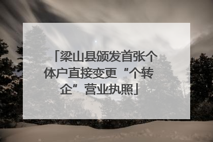 梁山县颁发首张个体户直接变更“个转企”营业执照