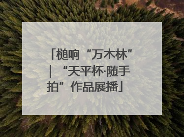 槌响“万木林”｜“天平杯·随手拍”作品展播