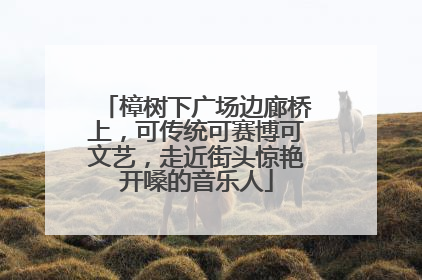 樟树下广场边廊桥上，可传统可赛博可文艺，走近街头惊艳开嗓的音乐人