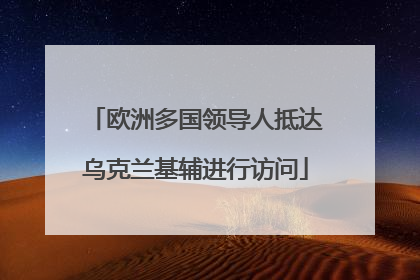 欧洲多国领导人抵达乌克兰基辅进行访问