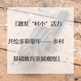 激发“村小”活力 共绘多彩童年——乡村基础教育发展观察