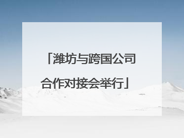 潍坊与跨国公司合作对接会举行