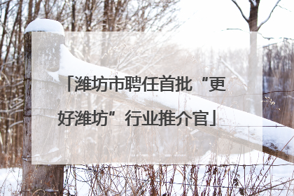 潍坊市聘任首批“更好潍坊”行业推介官