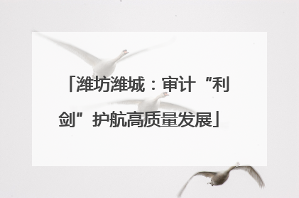 潍坊潍城：审计“利剑”护航高质量发展