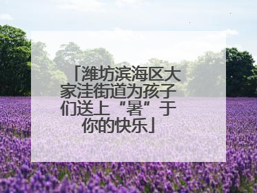 潍坊滨海区大家洼街道为孩子们送上“暑”于你的快乐